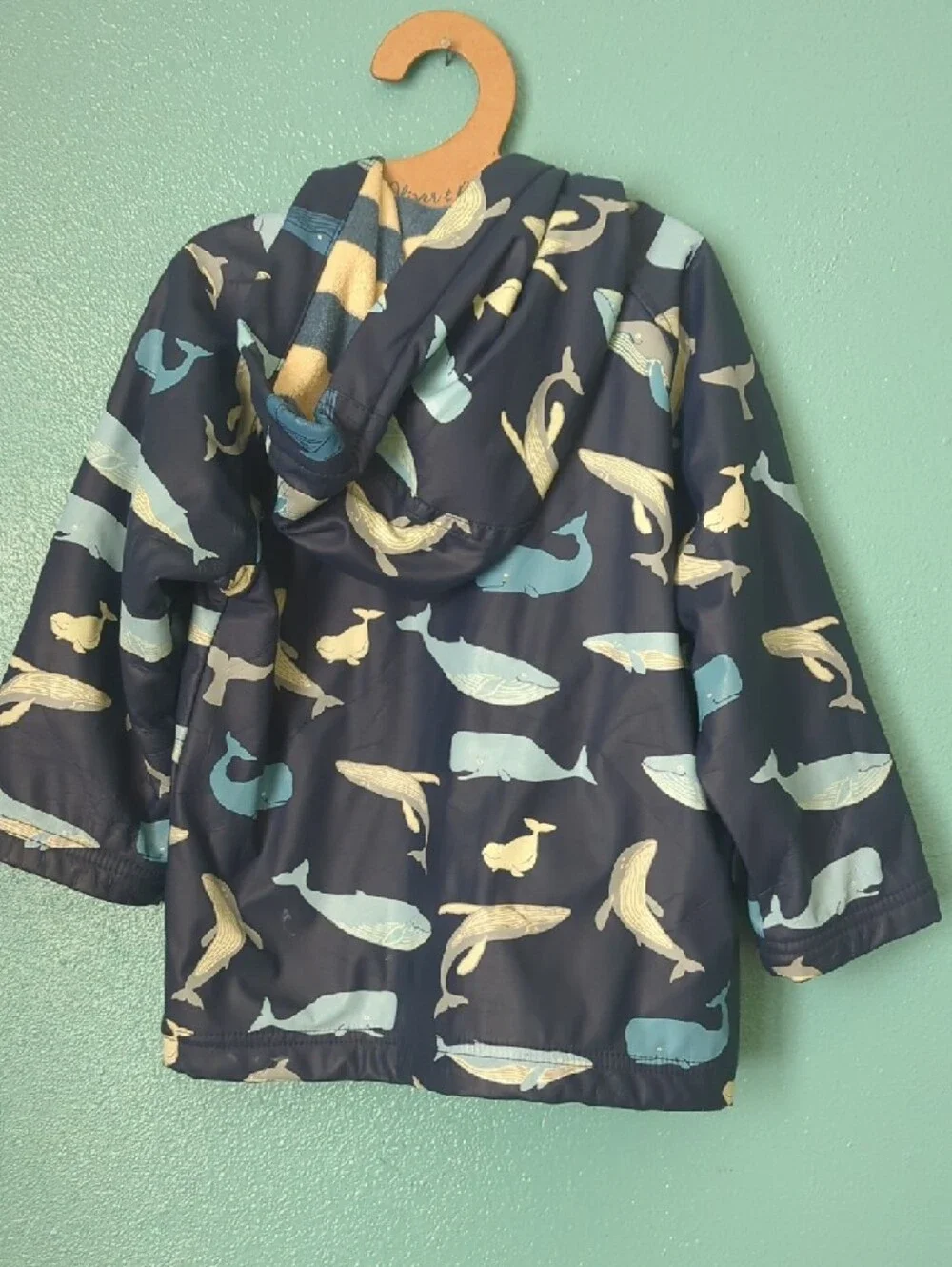 Hatley Navy Whale Print Hooded Raincoat - Picture 3 of 4